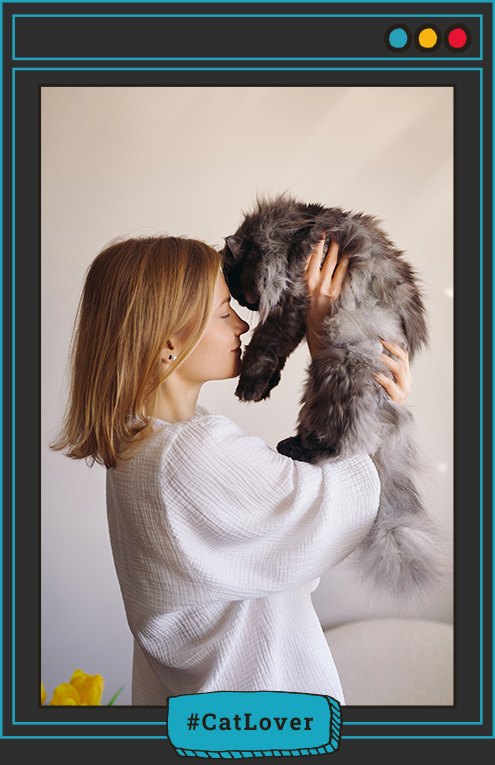  lenguaje de amor de los gatos